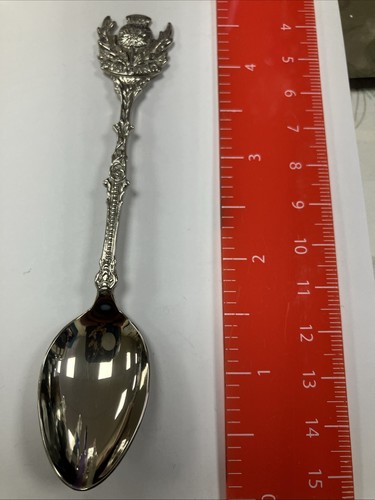Scotland spoon thistle - spoon,