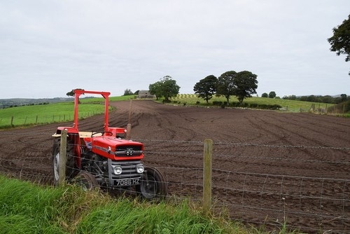 Photo 6x4 massey - 6x4, ferguson