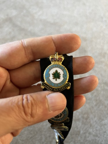 Raf squadron enamel lapel - 5,