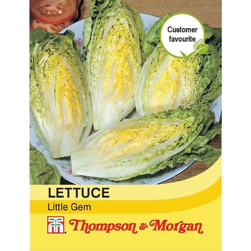 Thompson morgan lettuce - -,