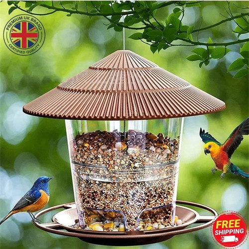 Hanging wild bird - bird, feeder