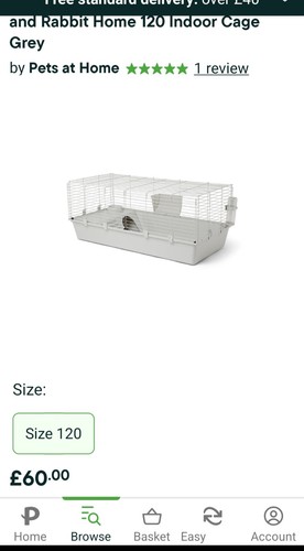 Pets home guinea pig - home, &
