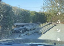 Telegraph Poles Good Condition 30ft Plus