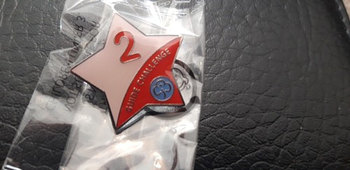 Girl guides enamel challenge - guides,