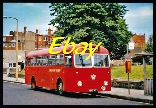 Bus photo leyland - bus, photo,