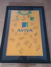 Professionally framed Norwich