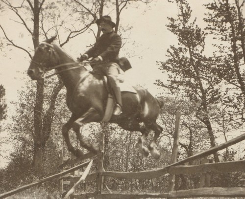 Theodore roosevelt jumping - roosevelt,,