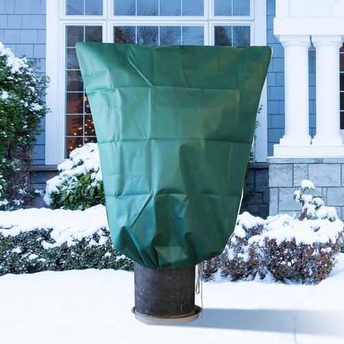 Garden fleece plant frost - plant,
