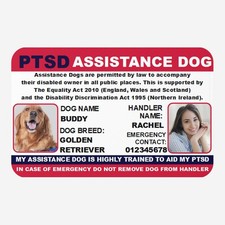 PTSD Assistance Dog