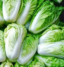 Chinese Cabbage Hilton - 600x