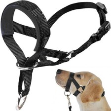 Padded Head Collar Pet Dog