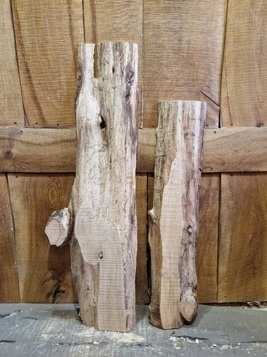 Cedar slab wood live - slab, edge