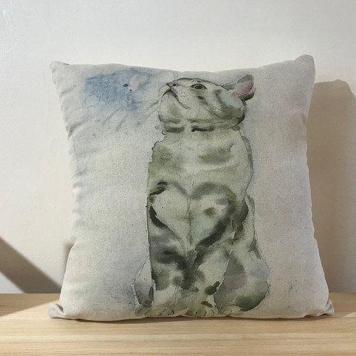 Kitten cushion cover - kitten,