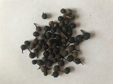 Cubeb whole pepper Cubebs