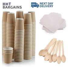 100 X 12oz Disposable Kraft