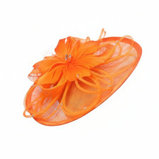 Women's Flower Feather Hair