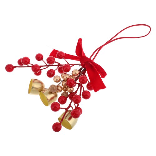 Christmas decorations fruits - ,