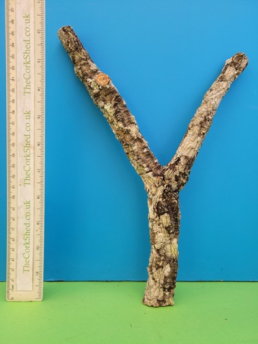 Cork bark branch 29cm - bark,