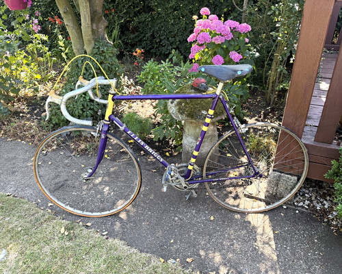 Ellis briggs road bike - ellis-briggs,