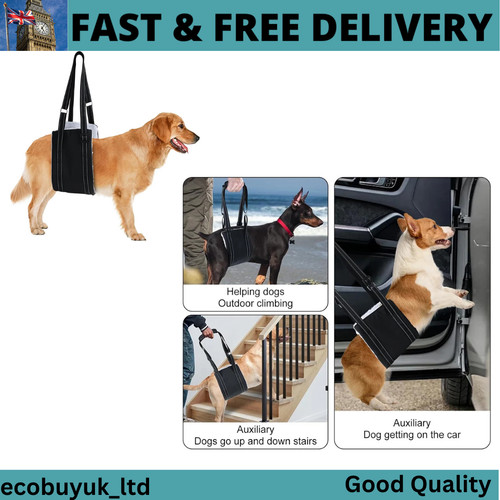 Pet dog mobility aids - mobility,