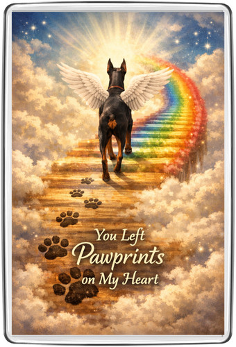 Rainbow bridge fridge - bridge,