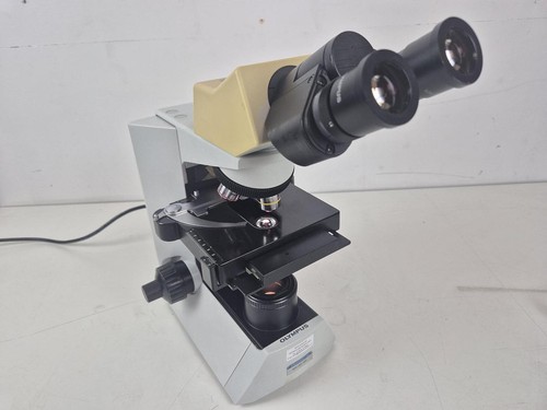 Olympus cx31rbsf microscope - cx31rbsf,