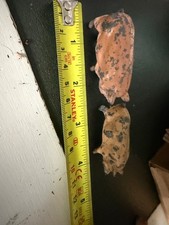 2 Vintage Britains lead toy pigs sows approx  6 x 3cm vintage condition