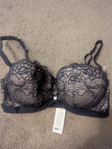 36dd boux avenue navy - ,