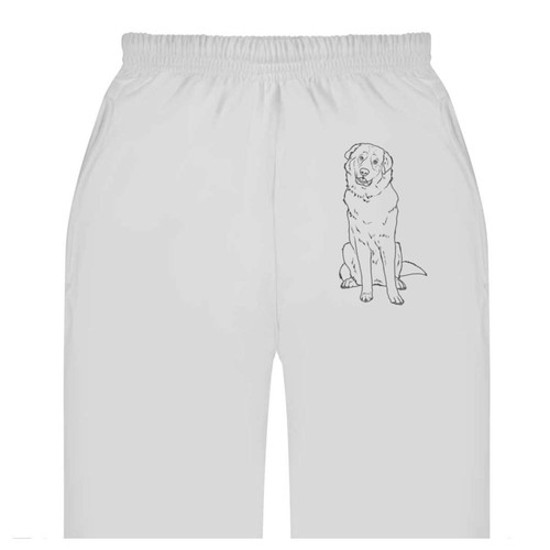 Pyrenean mountain dog - dog', adult