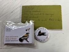 RSPB Interest DESERT WHEATEAR