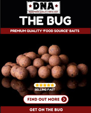 DNA Baits The Bug Boilies All