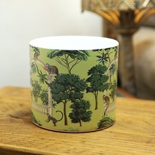 Monkey Animal Jungle Scene