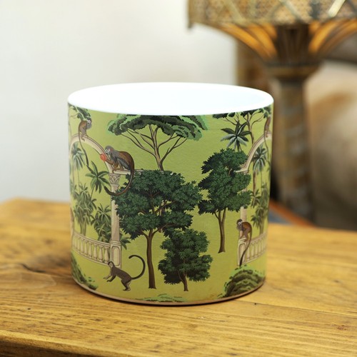 Monkey animal jungle scene - monkey,