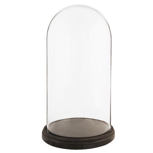Glass display bell - glass,