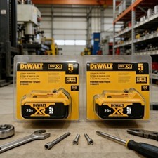 Set of 2 DEWALT 20V MAX