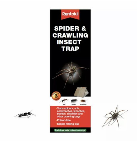 Rentokil spider crawling - &,