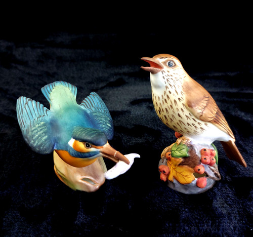 Royal worcester thrush - worcester, &