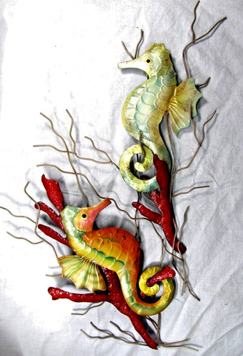 Sea horses the coral capiz - coral,