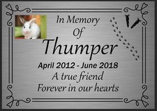 Pet Memorial Rabbit Plaque Cat Paw Print Grave Metal Sign bereavement Decor RIP