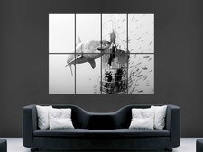 GREAT WHITE SHARK SEA  DIVERS