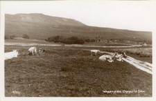 REAL PHOTO POSTCARD OF