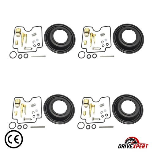 Carburetor repair kit - repair, +
