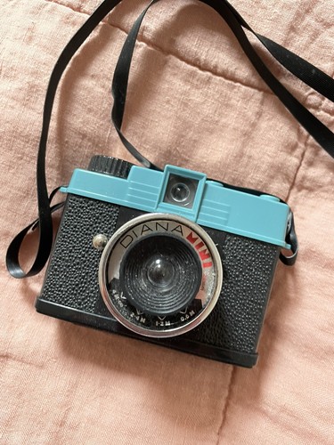 Working lomography diana mini - lomography,