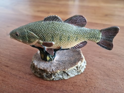 Largemouth bass the - bass,