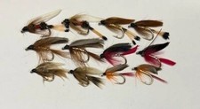 Winged Wet Mixed Flies x 12