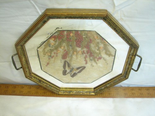 Vintage tiger butterfly wing - butterfly,