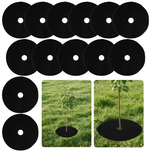 Pcs tree ring - 13,
