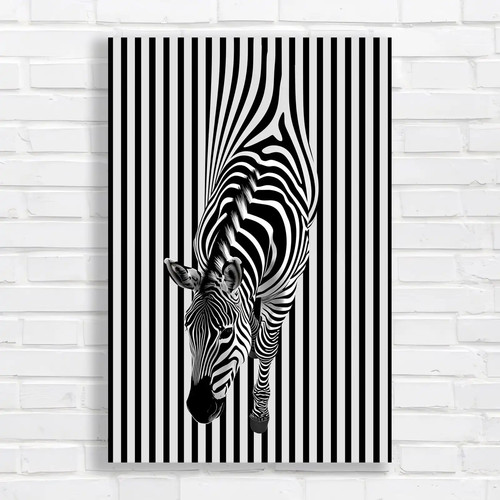Zebra stripes abstract - stripes,
