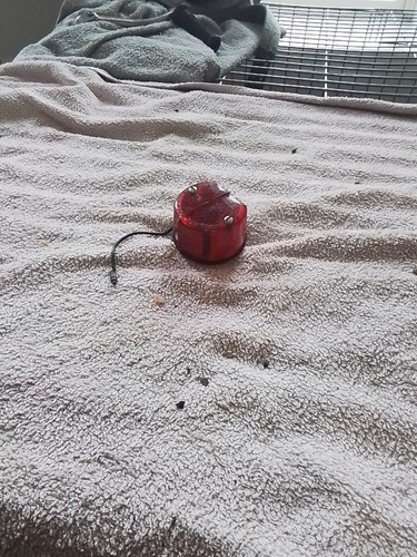Bsa bantam rear light - d1,