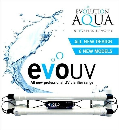 Evolution aqua evo - aqua, fish